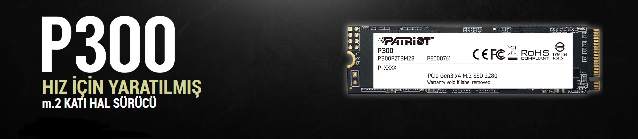 Patriot 512GB P300 M.2 Disk 2280 PCIE Gen3 x 4 1700Mbs 1100Mbs