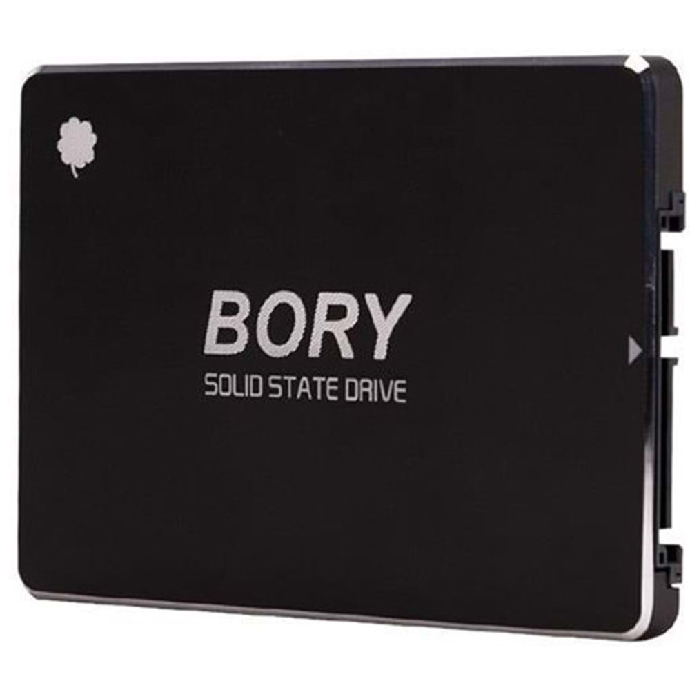 Bory 550/510 SATA3 SSD (R500-C1T 1TB)
