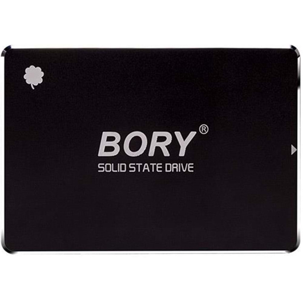 Bory 550/510 SATA3 SSD (R500-C1T 1TB)