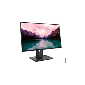 Lenovo T24-40 23.8