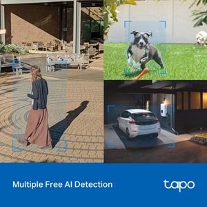 Tp-Link TAPO-C520WS Outdoor Pan/Tilt Security Wi-Fi Camera