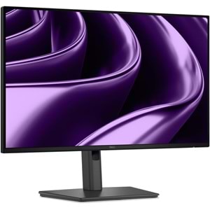 Dell Pro P2426HE 23.8
