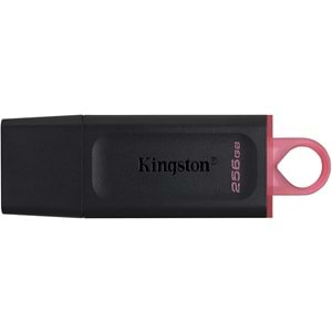 Kingston Exodia 256GB DataTraveler USB3.2 DTX/256GB