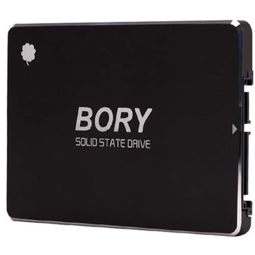 Bory 550/510 SATA3 SSD (R500-C1T 1TB)