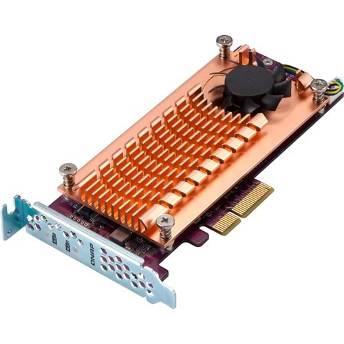 Qnap QM2-2P-244A Dual M.2 22110/2280 PCIe SSD Kart
