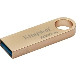 Kingston 256GB Usb3.2 Gen1 DTSE9G3/256GB