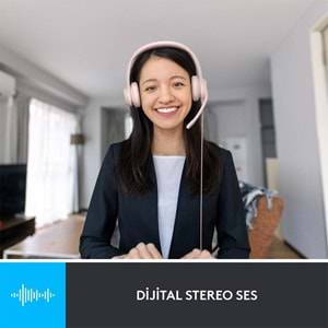 Logitech H390 Mikrofonlu Pembe Kulaklık 981-001281