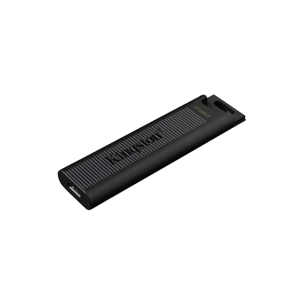 Kingston 256G DTMax Usb3.2 Gen2 Type-C DTMAX/256GB