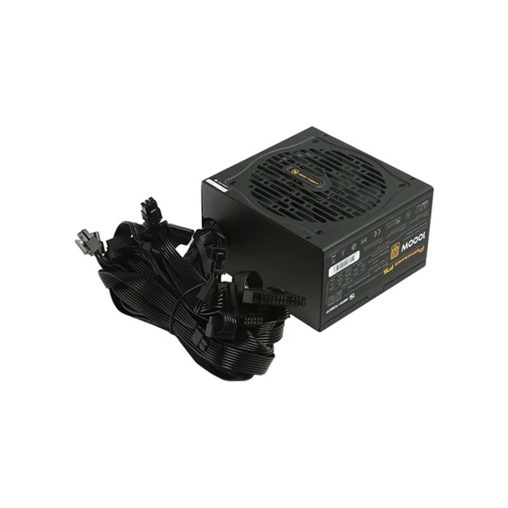 High Power 1000W 80+ Gold PCIE5.1 (Performance)