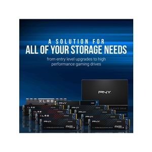 PNY CS2230 2TB 3300/2600 NVMe PCIe M.2 SSD (M280CS2230-2TB-RB)