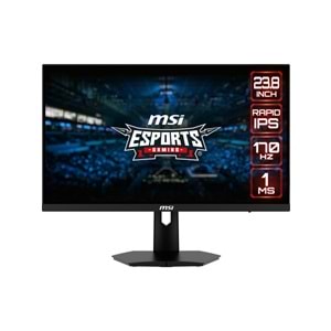 MSI G244F E2 23.8