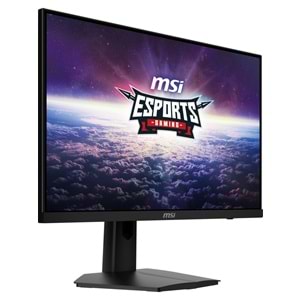 MSI G244F E2 23.8