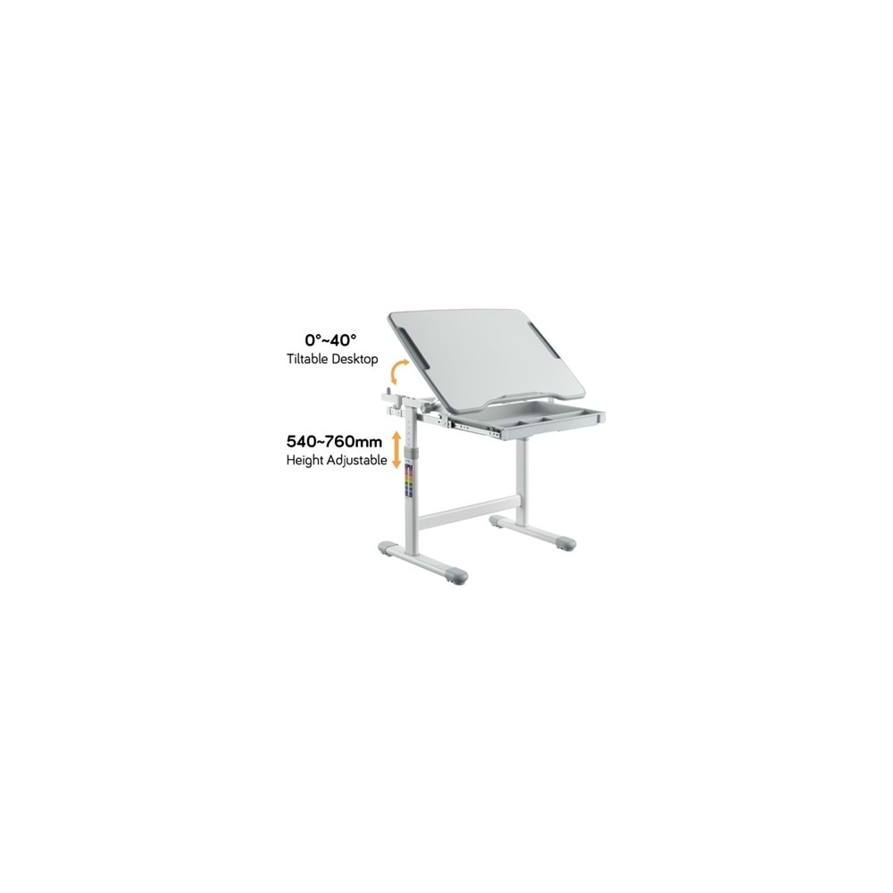 Digitus DA-90900 Ayarlanabilir Çocuk Masası Mavi