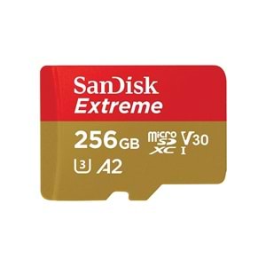 Sandisk SDSQXAV-256G-GN6XN 256GB Gameplay SDXC UHS-I 190MB/s MicroSD CARD