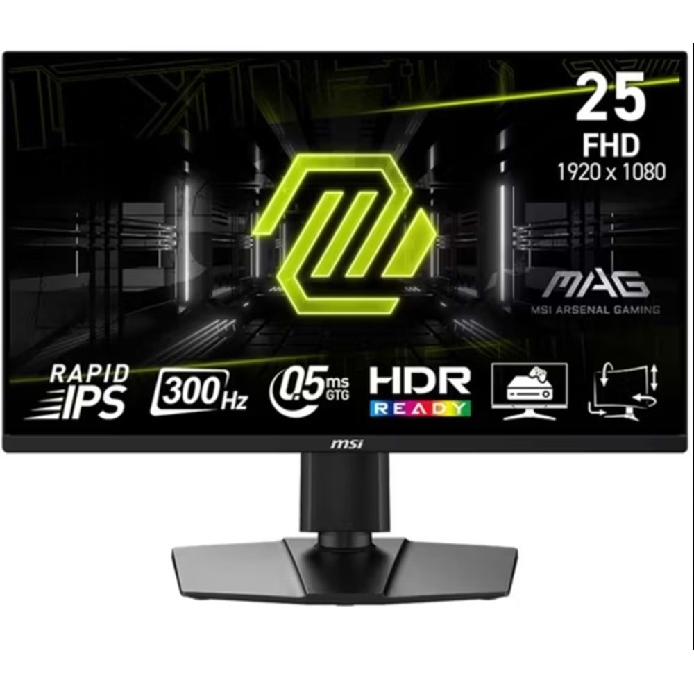 MSI MAG 24.5