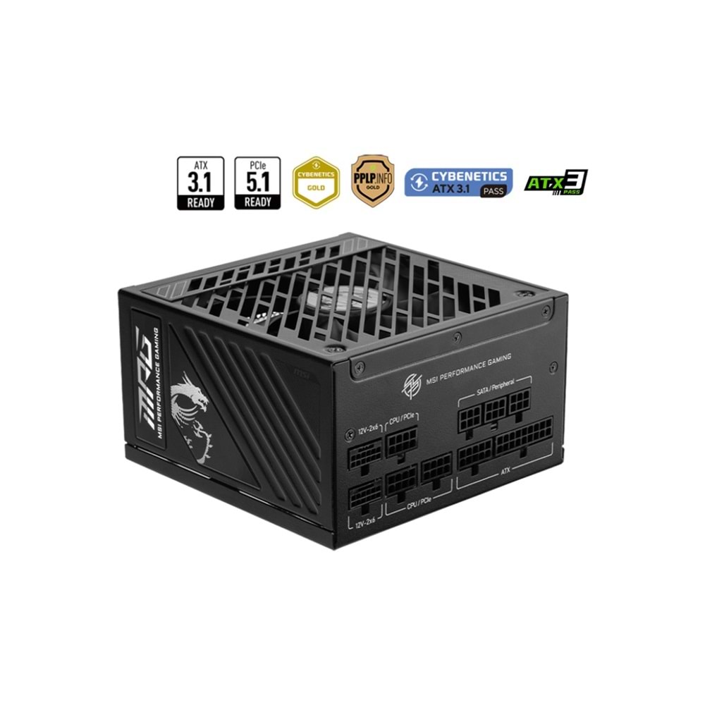 MSI MPG A1000GS PCIE5 1000W 80+ GOLD FULL MODULER