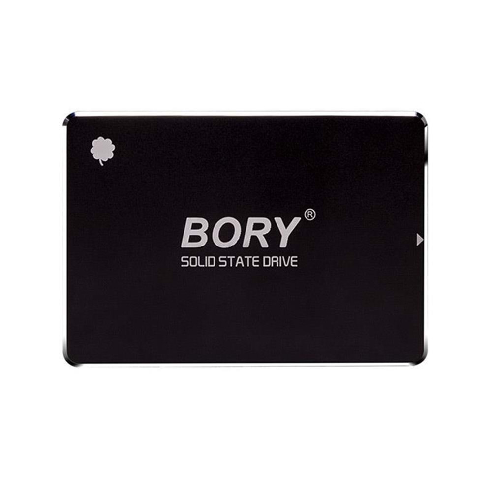 Bory R500-C1T 1TB 550/510 SATA3 SSD