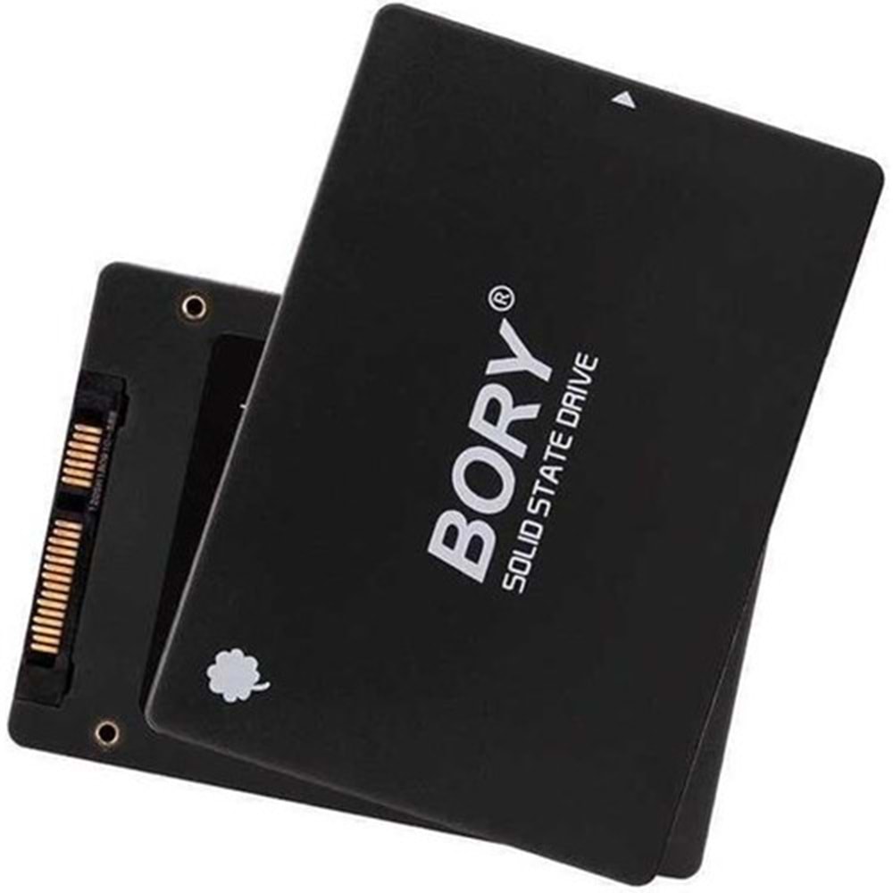Bory 128 GB SATA3 R500-C128G SSD 550/500 MBS SSD