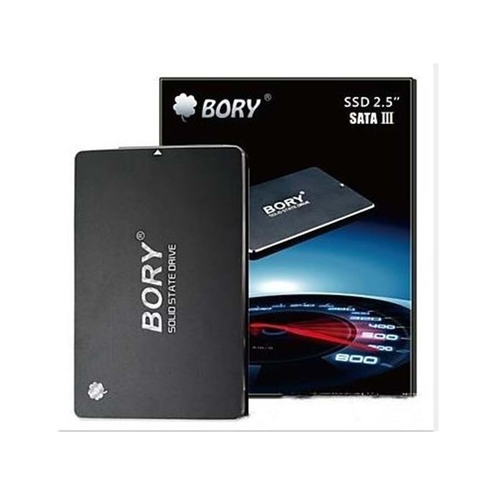 Bory 256 GB SATA3 R500-C256G SSD 550/500 MBS SSD