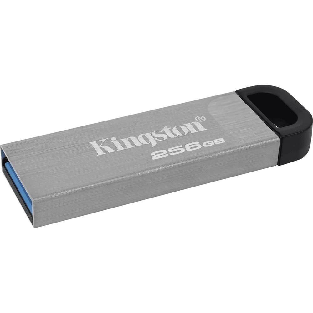 Kingston 256GB DataTraveler USB3.2 Gen1 (DTKN/256GB)