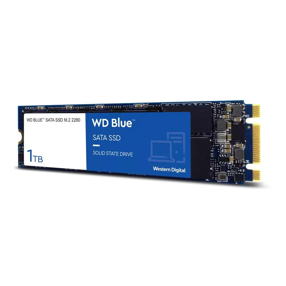 WD 1TB Blue SATA M.2 SSD 560-530MB/s WDS100T2B0B