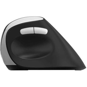 RAPOO MOU EV250 Siyah Kablosuz Ergonomik 1300DPI Mouse