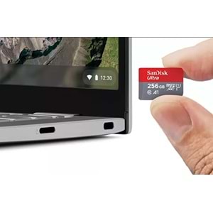 SanDisk FLA 256GB Ultra MSD 120MB/S C10 UHS-I Hafıza Kartı SDSQUA4-256G-GN6MN