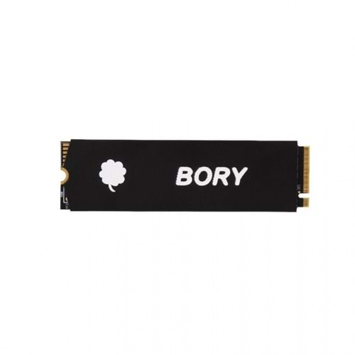 Bory 512 GB GEN4 5100MB/S-4400MB/S Gaming Soğutuculu Nvme.M2