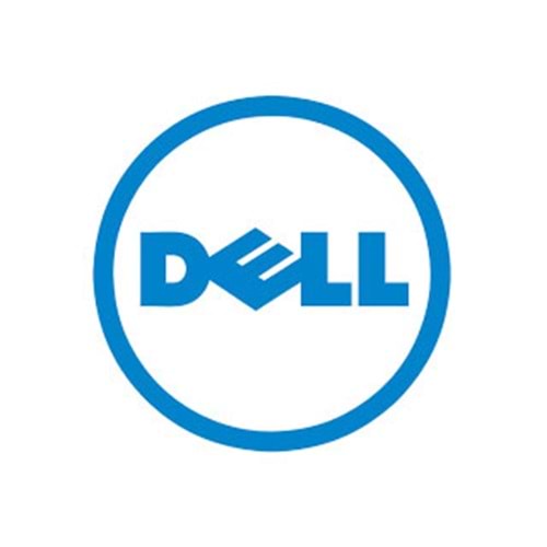 Dell TRUSTed Platform Modül 2.0 CK 461-AAEN