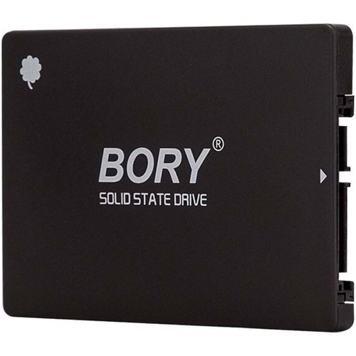 Bory 256 GB SATA3 R500-C256G SSD 550/500 MBS SSD