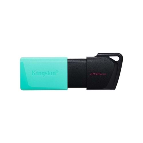 Kingston DTXM 256GB USB Flash Bellek