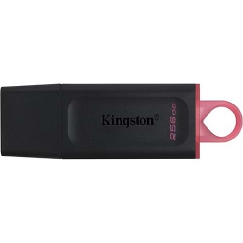 Kingston Exodia 256GB DataTraveler USB3.2 DTX/256GB